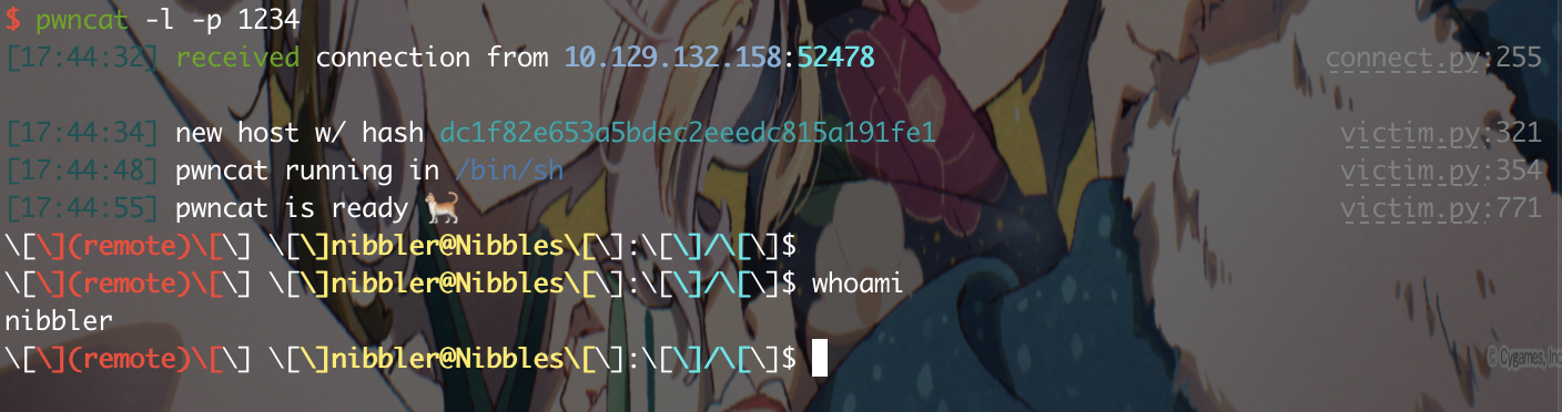 20210410-17:45:10-_QjCReC_R5Y7Yx
